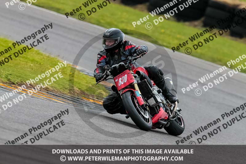 PJ Motorsport 2019;anglesey no limits trackday;anglesey photographs;anglesey trackday photographs;enduro digital images;event digital images;eventdigitalimages;no limits trackdays;peter wileman photography;racing digital images;trac mon;trackday digital images;trackday photos;ty croes